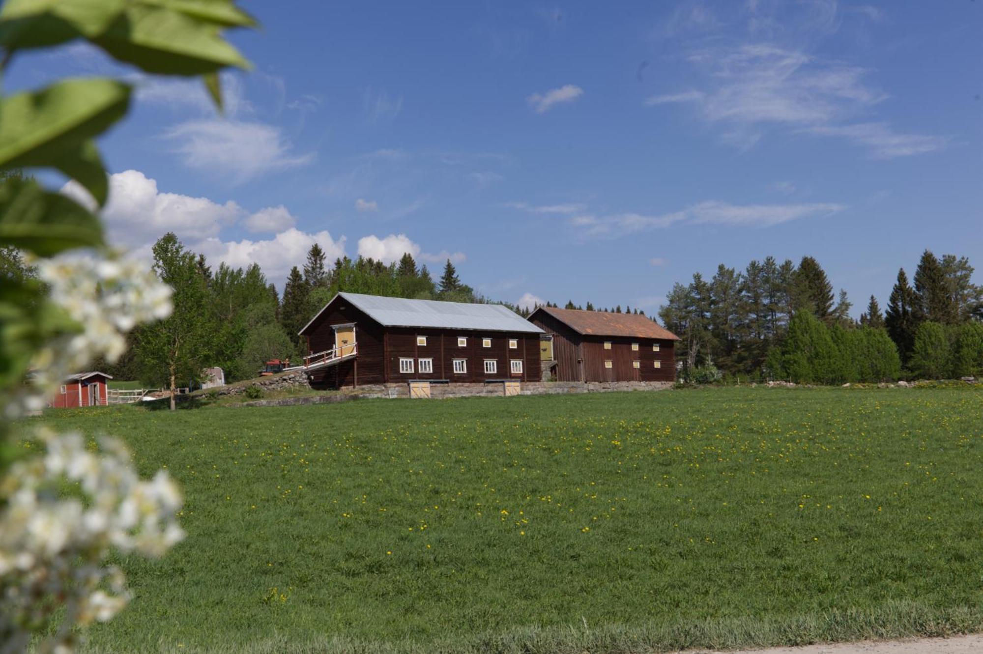 Grindstugan Pa Fyras Gard Hammerdal Exterior foto